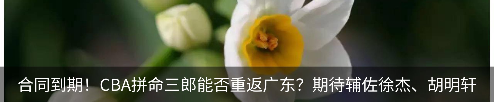 内页banner