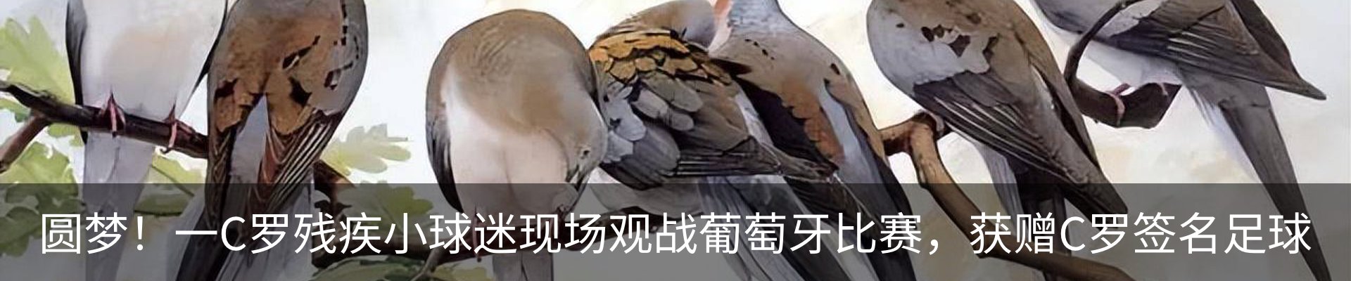 内页banner